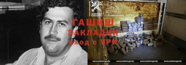 шишки Бородино