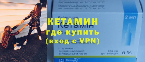 шишки Бородино