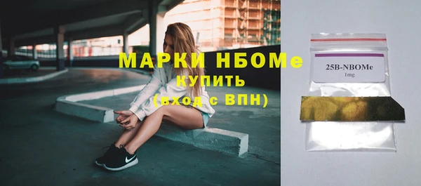 шишки Бородино