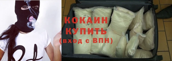 шишки Бородино
