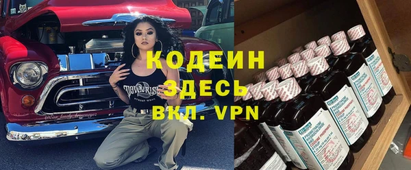 шишки Бородино