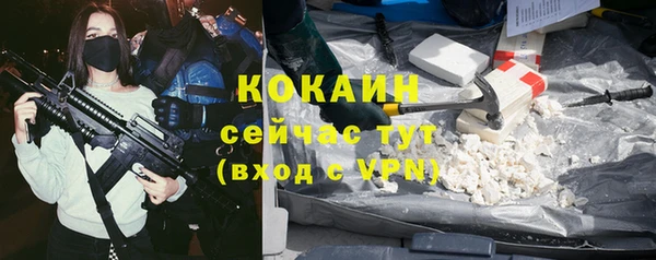 шишки Бородино