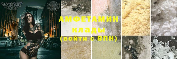 шишки Бородино