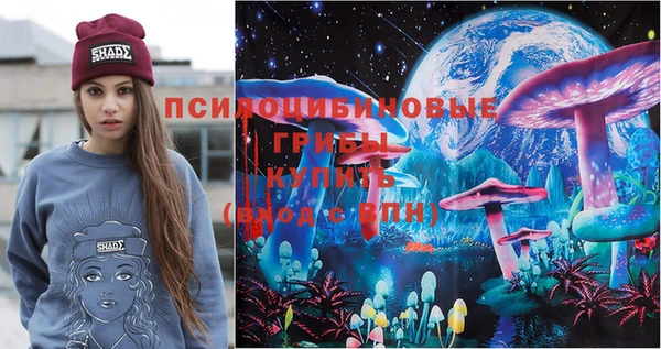 spice Бугульма