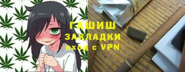 шишки Бородино