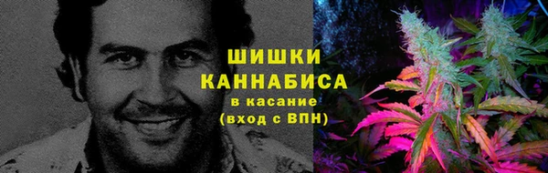шишки Бородино