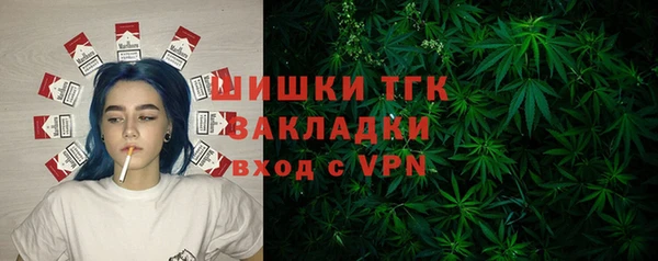 шишки Бородино