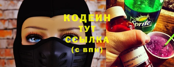 шишки Бородино