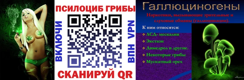 закладка  Княгинино  Псилоцибиновые грибы прущие грибы 