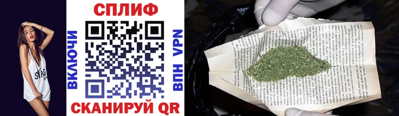 МЕГА ТОР  Княгинино  Каннабис SATIVA & INDICA 